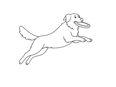 Simple line art generated from the jumping golden retriever picture